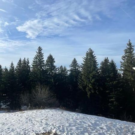 Chamrousse A 50M Des Pistes Appart 4/6 Ngoại thất bức ảnh